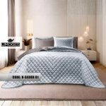 Velot - طوسی روشن